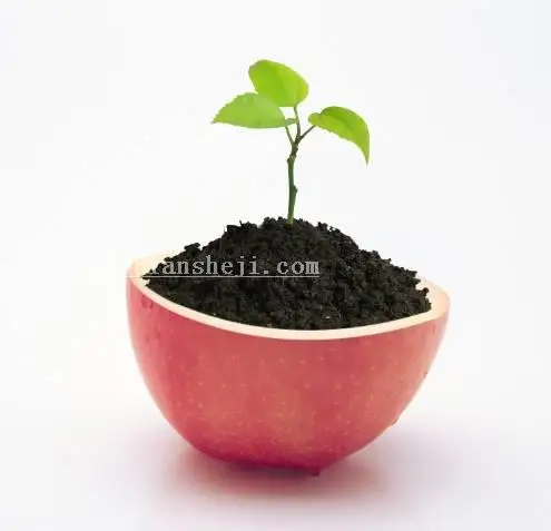 场景合成，通过PS合成一张苹果里面种苹果树的趣味照片_www.haoyidiansheji.com