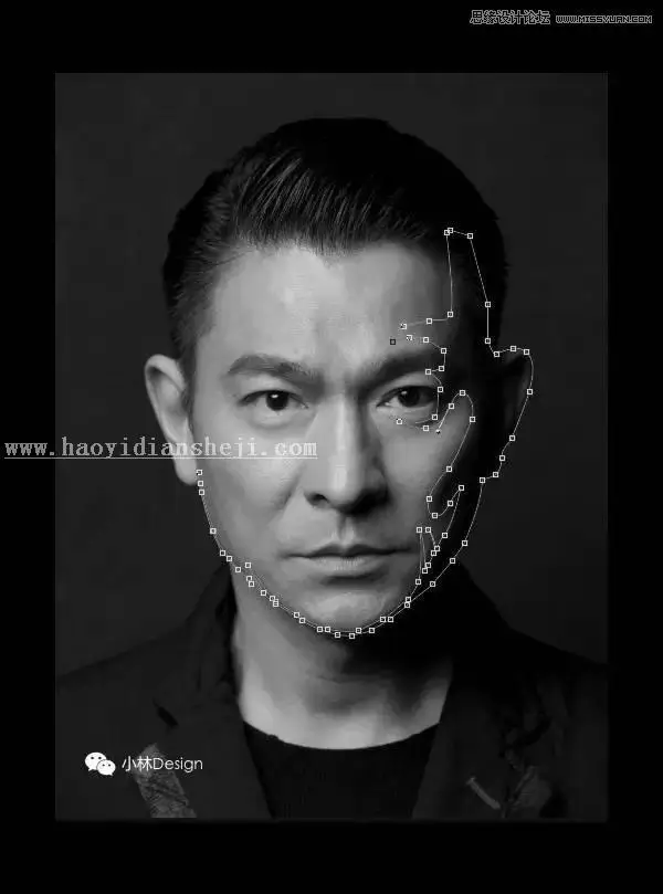 矢量效果，用PS把刘德华的照片变成矢量图_www.haoyidiansheji.com