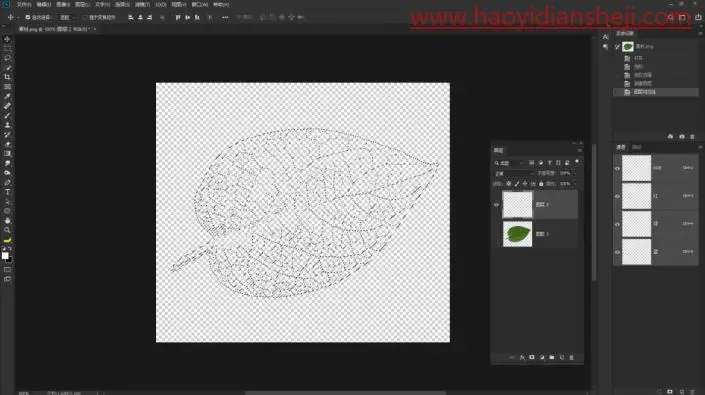 树叶剪影，通过PS提取树叶的脉络_www.haoyidiansheji.com