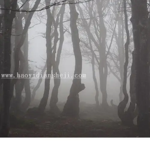 女巫场景，合成恐怖的暗黑女巫场景_www.haoyidiansheji.com
