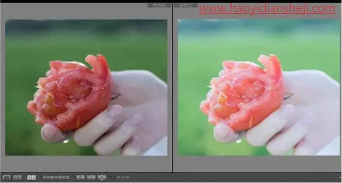 LR静物调色，通过LR给静物调出夏日清新色调_www.haoyidiansheji.com