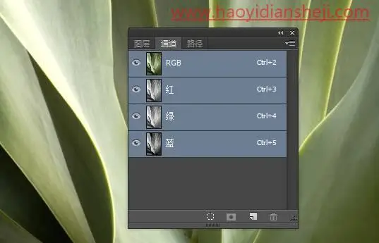 调色工具，通过PS中的计算工具给树叶调出另类的颜色_www.haoyidiansheji.com