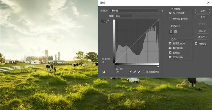工具教程，曲线工具的使用技巧_www.haoyidiansheji.com