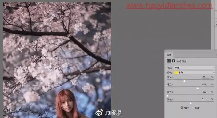 人物调色，用PS打造唯美的夜景樱花人像_www.haoyidiansheji.com