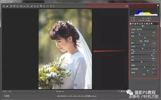 小清新，制作森林系的小清新人像照片_www.haoyidiansheji.com