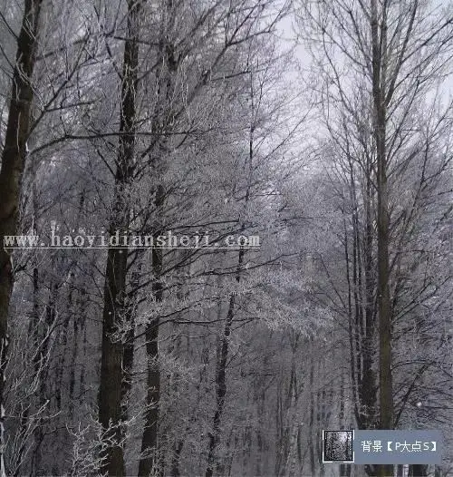 合成效果，后期合成神秘的森林女神照_www.haoyidiansheji.com