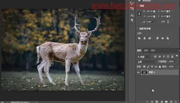 梦幻合成，制作一种林深时见鹿的意境场景_www.haoyidiansheji.com