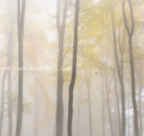 森林系，用PS给树林里拍摄的人像添加梦幻效果_www.haoyidiansheji.com