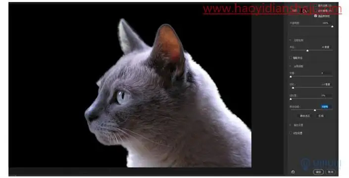 创意合成，在PS中制作长有猫头的猫头鹰_www.haoyidiansheji.com