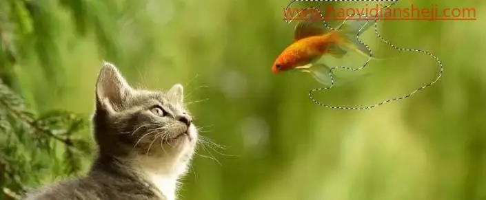 趣味合成，制作小猫与金鱼的趣味场景_www.haoyidiansheji.com