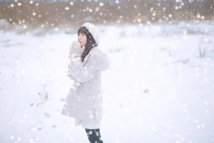 下雪效果，打造漫天飞舞的雪花景象_www.haoyidiansheji.com