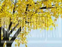 动画教程，秋叶变绿叶的动漫效果_www.haoyidiansheji.com