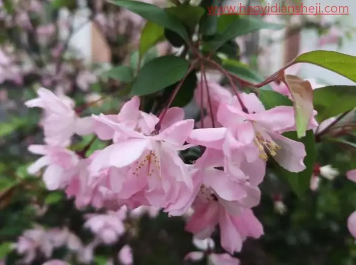模糊变清晰，简单快速在PS里把模糊照片变成清晰照片_www.haoyidiansheji.com
