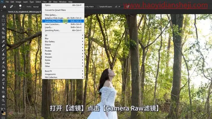 婚纱后期，快速打造唯美秋季外景树林婚纱照片_www.haoyidiansheji.com