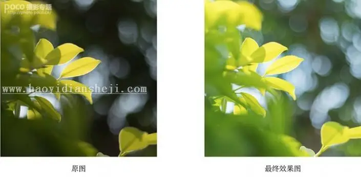 静物调色，明亮通透的小清新静物照前后期思路_www.haoyidiansheji.com