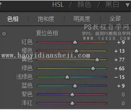 LR调色教程，通过LR给人像调出暗调森林系照片_www.haoyidiansheji.com