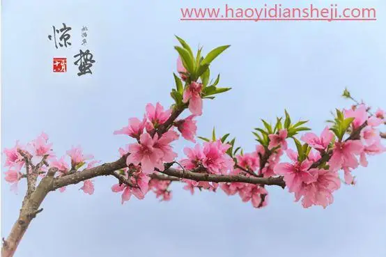 LR静物调色，用PS给静物风景照片调出更加丰富的颜色_www.haoyidiansheji.com