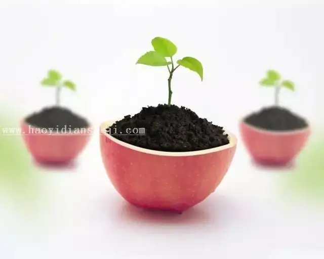 场景合成，通过PS合成一张苹果里面种苹果树的趣味照片_www.haoyidiansheji.com