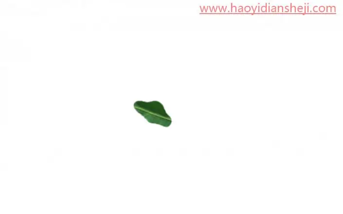 绘制水珠，在PS中绘制逼真的树叶水珠_www.haoyidiansheji.com