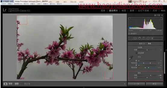 LR静物调色，用PS给静物风景照片调出更加丰富的颜色_www.haoyidiansheji.com