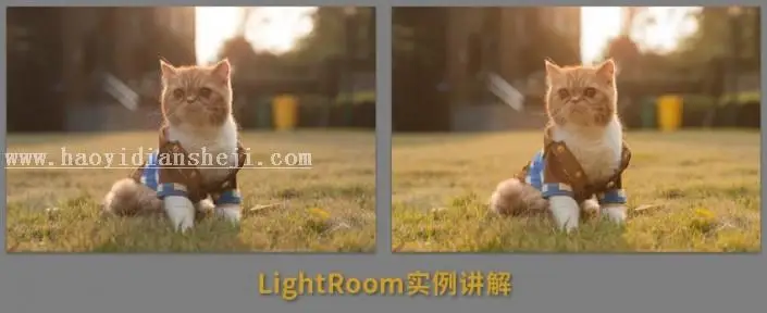实例讲解，详细讲解LR操作中遇到的问题_www.haoyidiansheji.com