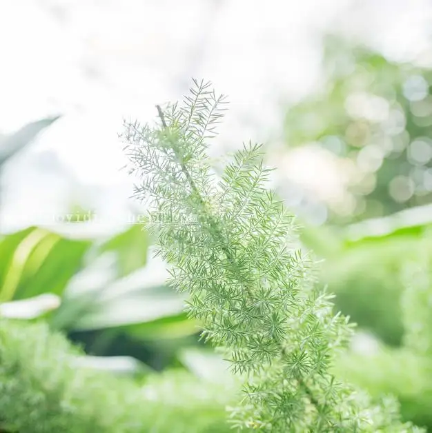 物品调色，静物小清新调色教程_www.haoyidiansheji.com