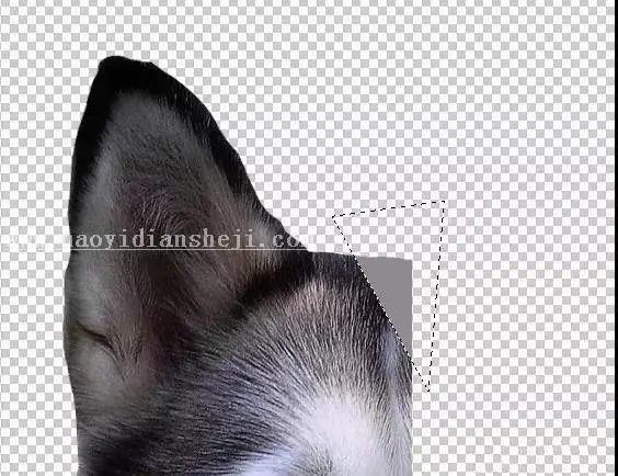 低多边形，通过PS制作低多边形的狗狗图片_www.haoyidiansheji.com