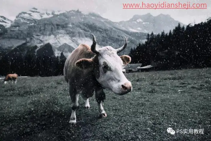 雪景效果，用滤镜把绿色风景照片变成真实层次感冬季雪景_www.haoyidiansheji.com