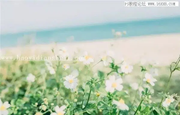 胶片色，用PS调出静物日系胶片效果_www.haoyidiansheji.com