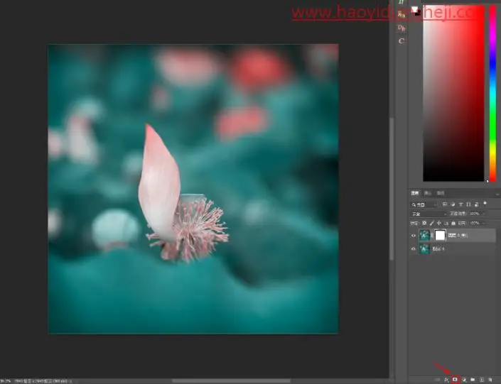 线条边框，给植物制作透明边框_www.haoyidiansheji.com