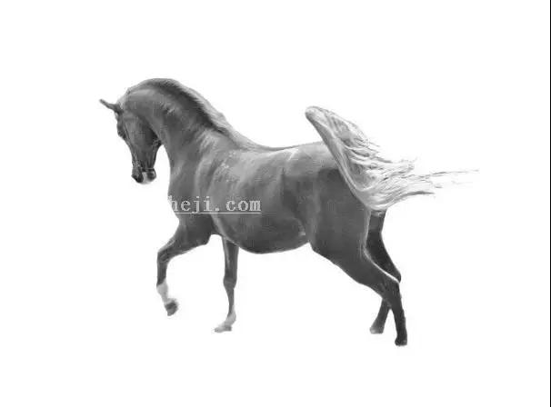插画制作，在PS中建一个艺术马插画_www.haoyidiansheji.com