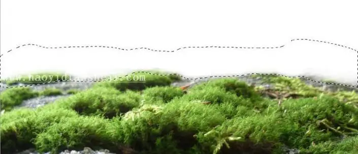 动物恶搞，合成蜗牛房子教程_www.haoyidiansheji.com