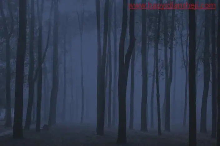 梦幻合成，制作一种林深时见鹿的意境场景_www.haoyidiansheji.com