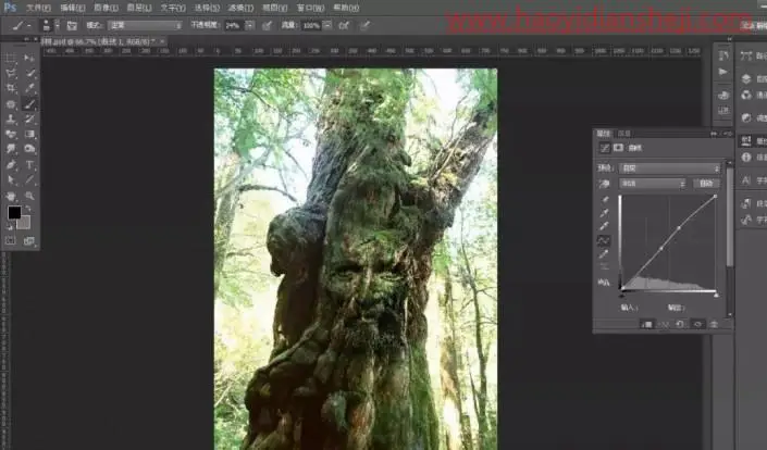 创意合成，合成一张老人与树在一起的奇幻场景_www.haoyidiansheji.com