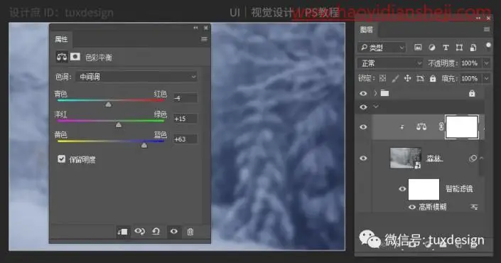 创意合成，通过PS合成一幅猫虎大战一触即发的场面_www.haoyidiansheji.com