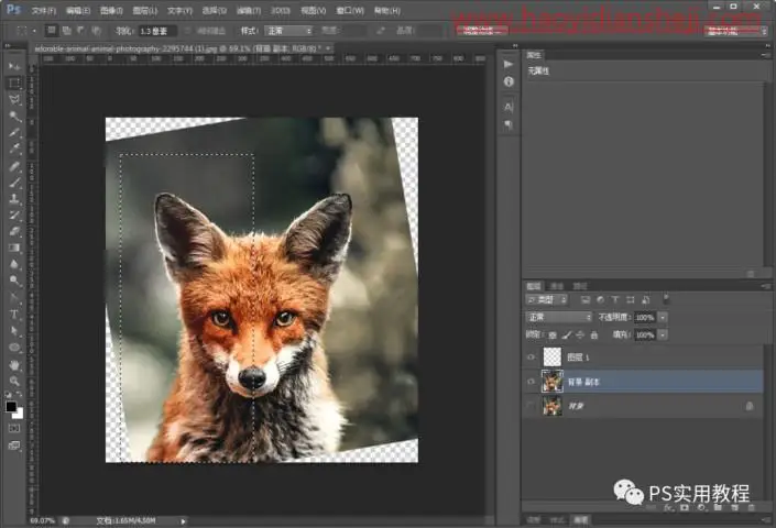 低多边形，把狗狗的图片制作成LOWPOLY低多边形效果_www.haoyidiansheji.com