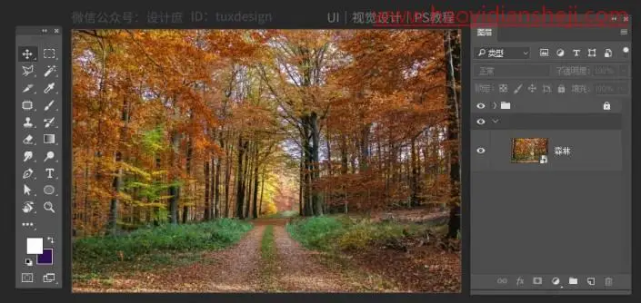 场景合成，通过PS合成一张森林偶遇记的童话场景_www.haoyidiansheji.com