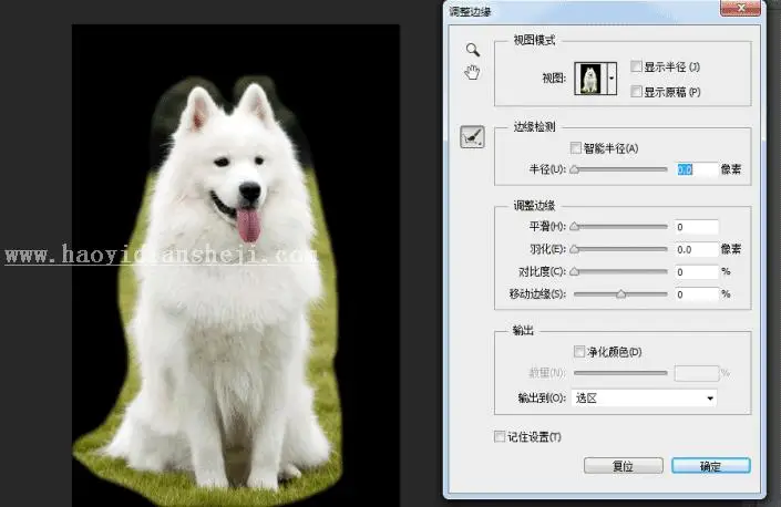 换背景，通过PS给狗狗换背景_www.haoyidiansheji.com