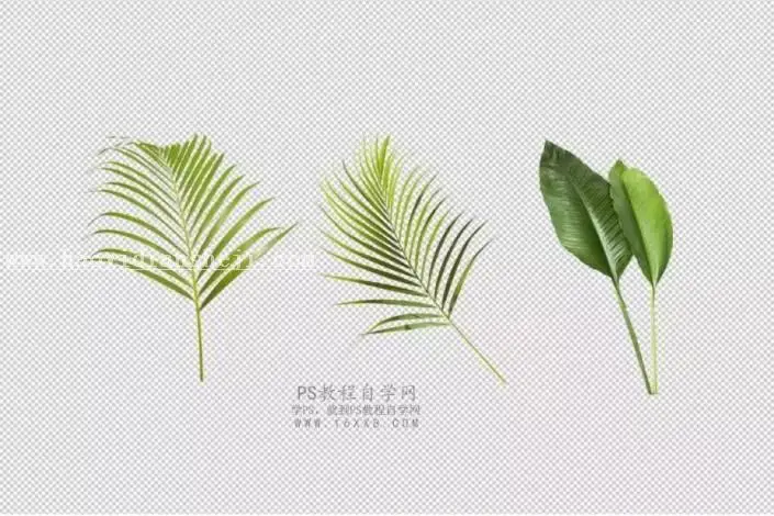 镂空效果，用PS制作一张人物头像是镂空效果的照片_www.haoyidiansheji.com