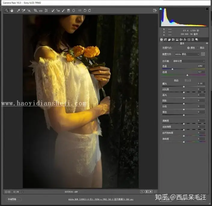 人像后期，用PS营造朦胧复古私房照片_www.haoyidiansheji.com