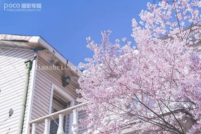 www.haoyidiansheji.com_022TAD7-13.jpg