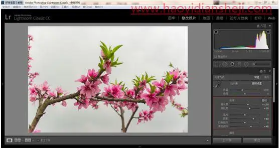LR静物调色，用PS给静物风景照片调出更加丰富的颜色_www.haoyidiansheji.com