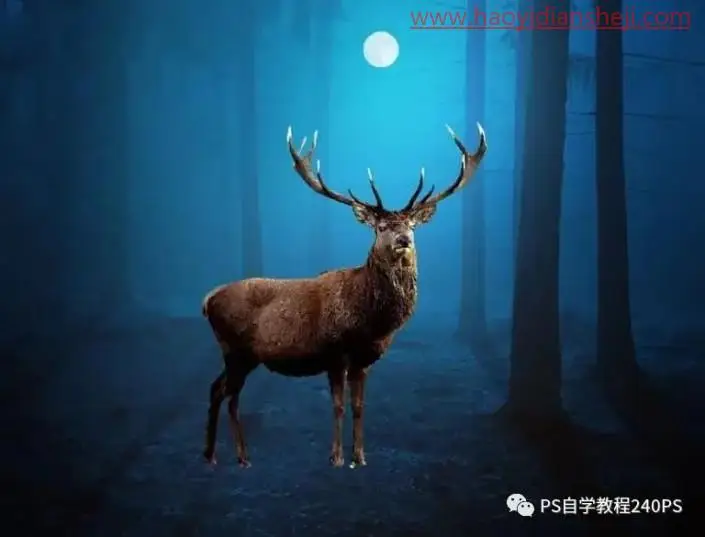 奇幻合成，合成鹿角中的神秘水世界_www.haoyidiansheji.com