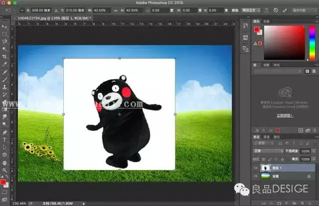 抠图工具，介绍常用的抠图工具使用方法_www.haoyidiansheji.com
