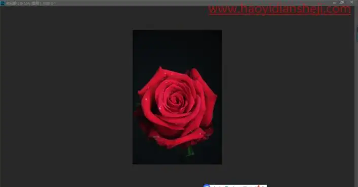 火焰效果，制作一款逼真的火焰效果玫瑰花_www.haoyidiansheji.com
