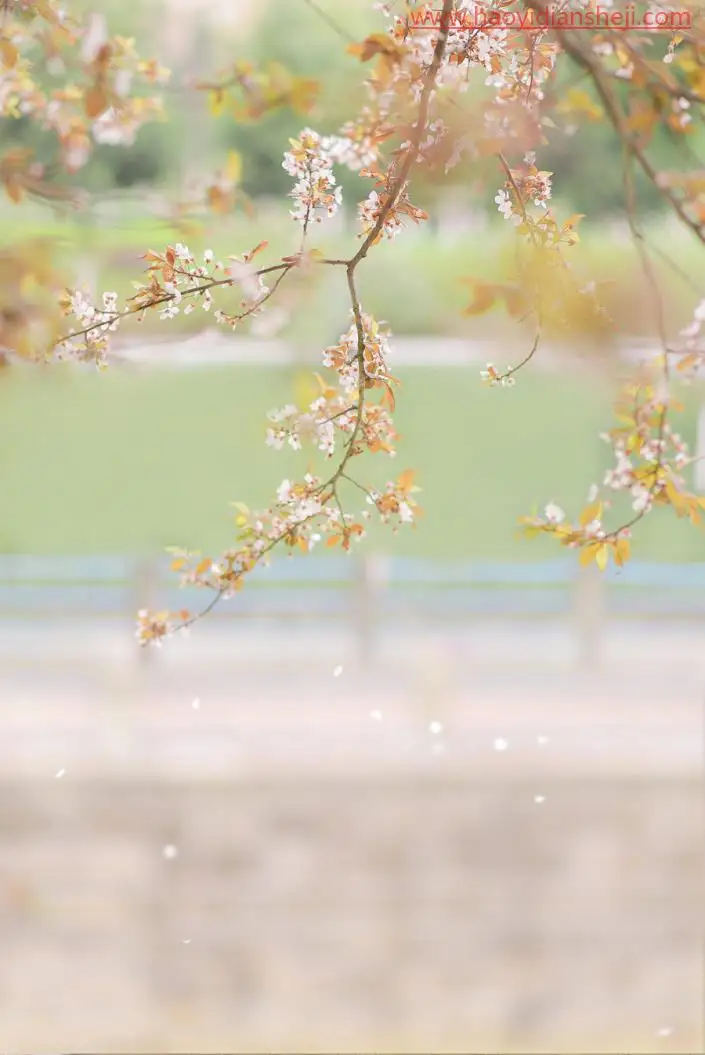 清新人像，快速调出日系樱花照片_www.haoyidiansheji.com