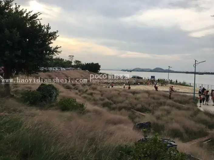 粉色系，用PS把荒草变成粉色梦幻场景_www.haoyidiansheji.com