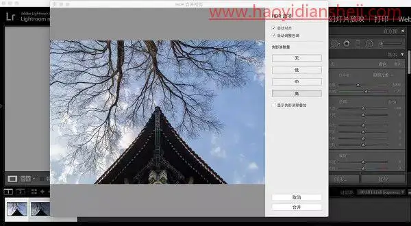LR风景调色，制作清冷纯净的电影级风景大片_www.haoyidiansheji.com