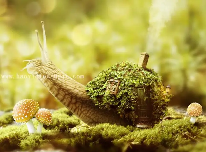 动物恶搞，合成蜗牛房子教程_www.haoyidiansheji.com