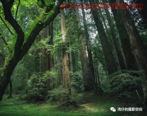 创意合成，制作在天上飞的大陆_www.haoyidiansheji.com